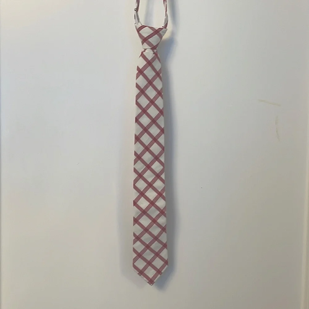 J. Crew Red and White Check Cotton Pre-Made Tie